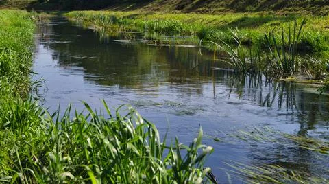 Spring landscape with the Bystrzyca River. Stock Photos