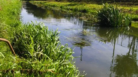 Spring landscape with the Bystrzyca River. Stock Photos