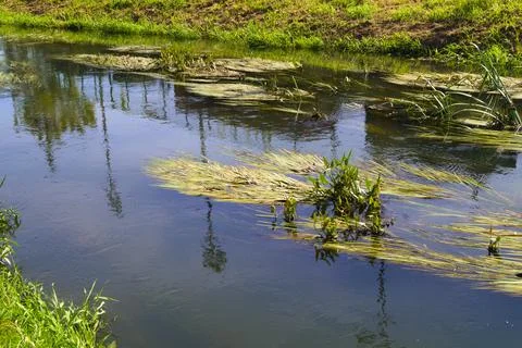 Spring landscape with the Bystrzyca River. Stock Photos