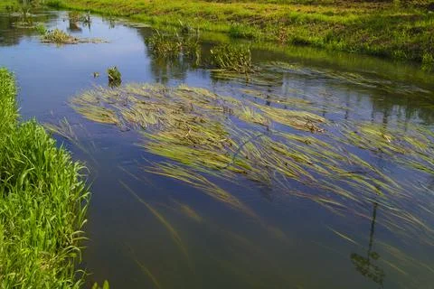 Spring landscape with the Bystrzyca River. Stock Photos