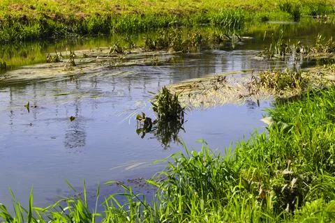 Spring landscape with the Bystrzyca River. Stock Photos