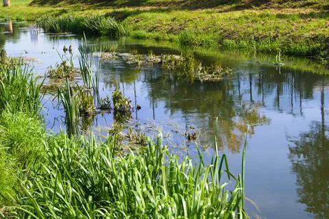 Spring landscape with the Bystrzyca River. Stock Photos