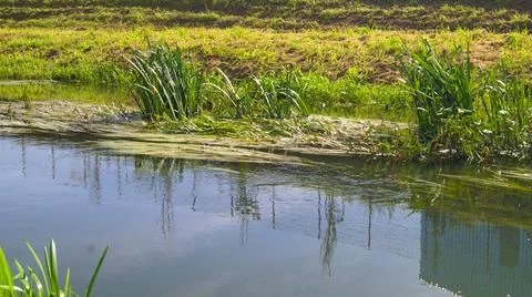Spring landscape with the Bystrzyca River. Stock Photos