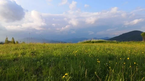 Spring landscape in the Carpathians Stock Footage 130635157
