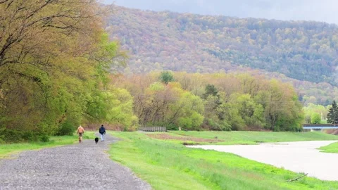 Spring landscape, clear weather day, selective focus real time video Video stock 259434145