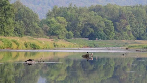 Spring landscape, clear weather day, selective focus real time video Stock Footage 259434156