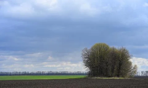Spring landscape with contrasting agricultural fields Fotos Stock