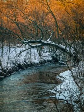 Spring landscape creek Stock Photos