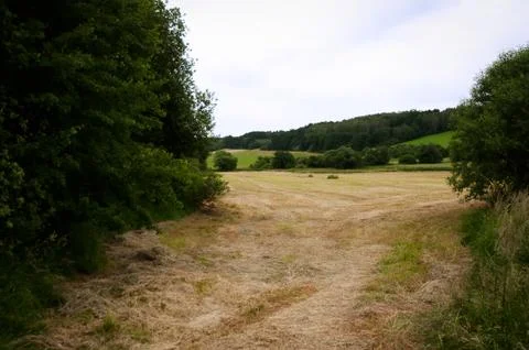 Spring landscape in  Czech Republic . Stock Photos