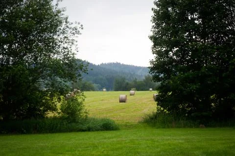 Spring landscape in  Czech Republic . Stock Photos