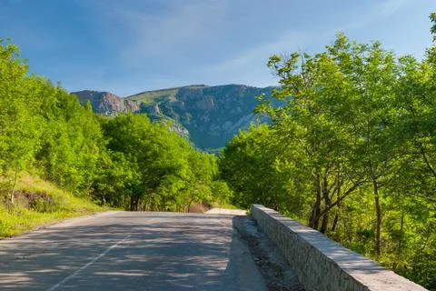 Spring landscape with empty road through mountain forest, Crimean peninsula Foto stock