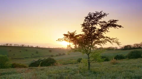 Spring landscape. evening Stock Footage 6730965