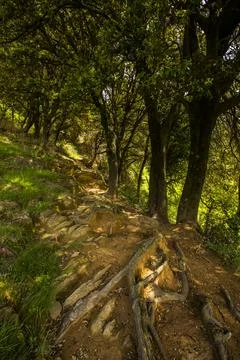 Spring landscape in Falgars D En Bas, La Garrotxa, Spain Stockfoto's