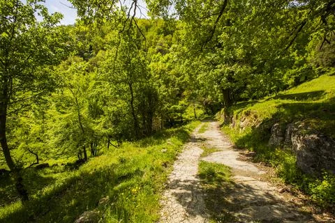 Spring landscape in Falgars D En Bas, La Garrotxa, Spain 写真素材