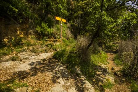 Spring landscape in Falgars D En Bas, La Garrotxa, Spain Stockfoto's