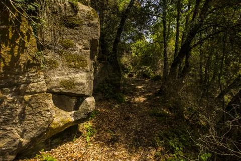 Spring landscape in Falgars D En Bas, La Garrotxa, Spain Stockfoto's