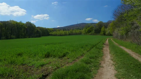 Spring landscape with field of grass and trees. 動画素材 39855955