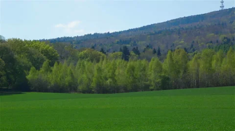 Spring landscape with field of grass and trees. Stock Footage 39856206
