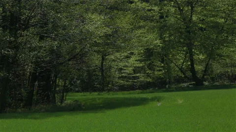 Spring landscape with field of grass and trees. 動画素材 39857437
