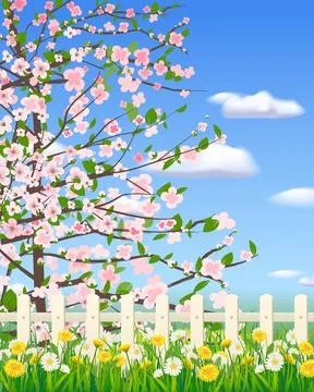 Spring landscape field green grass, blooming tree, daisy, dandelion flowers Stock Illustration
