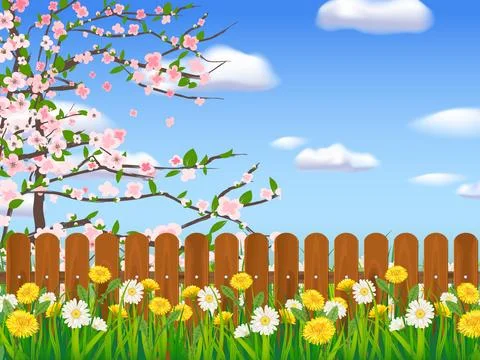 Spring landscape field green grass, blooming tree, daisy, dandelion flowers Stock Illustration