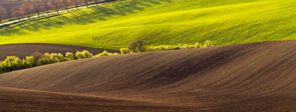 Spring landscape with field Stock Photos