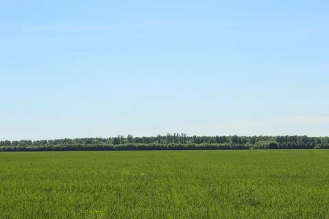 Spring landscape in the field Stock Photos