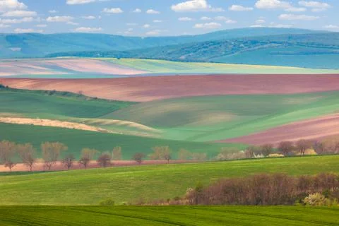 Spring Landscape of fields in countryside Stock Photos