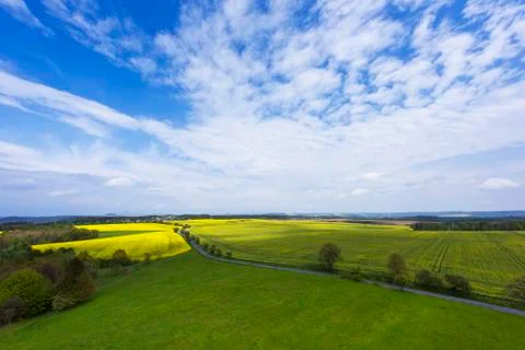 Spring landscape with fields, meadows and a road Stock Photos