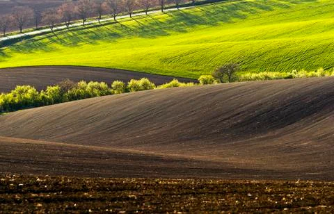 Spring landscape with fields Stock Photos