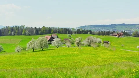 Spring landscape. Flowering meadow and garden. Stock Footage 130854836