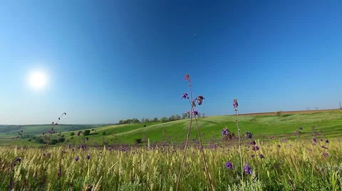 Spring landscape Stock Footage 6743336