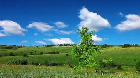 Spring landscape Stock Footage 8952225