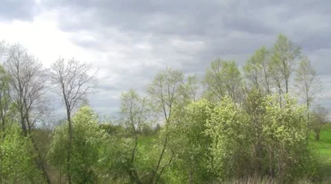 Spring landscape Stock-Footage 11015940