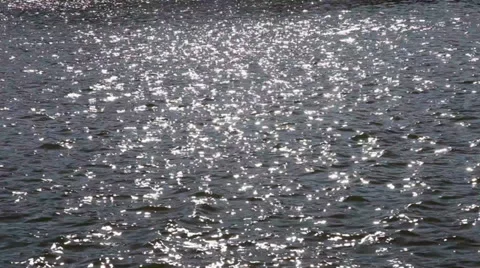 Spring landscape Video stock 36519792