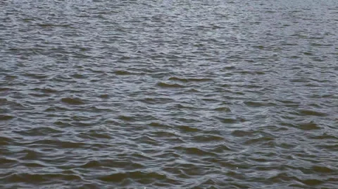 Spring landscape Stock Footage 36521483