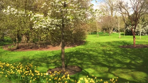 Spring landscape Stock Footage 273929554