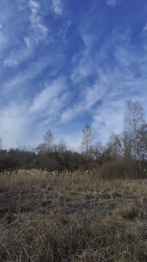 Spring landscape. Stock-Footage 304238008