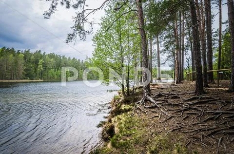 Spring landscape in the forest lake Stock Photos