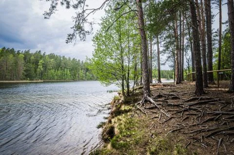 Spring landscape in the forest lake Stock Photos