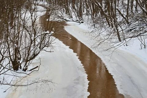 Spring landscape of a forest river or stream Stock Photos