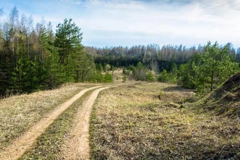 Spring landscape with forest road. Stock Photos