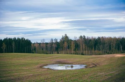 Spring landscape with forest trees and blue cloudy sky in Latvia Stock Photos