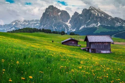 Spring landscape with green fields and yellow dandelions, Dolomites, Italy Stock Photos