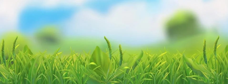 Spring landscape. Green grass vector illustration Stock Illustration