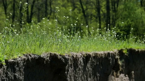 Spring landscape. Green meadow located on the river bank. 4K 库存影片 93255347
