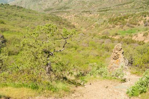 Spring landscape with hiking path  through virginal forest in Karadag Foto stock