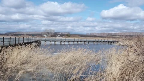 Spring landscape with a lake, a bridge and reeds. Countryside, Russia, Southern Stock Footage 183263777