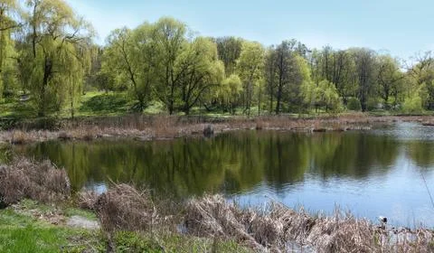 Spring Landscape With a Lake 库存照片