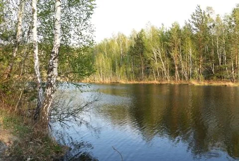 Spring landscape with a lake 库存照片